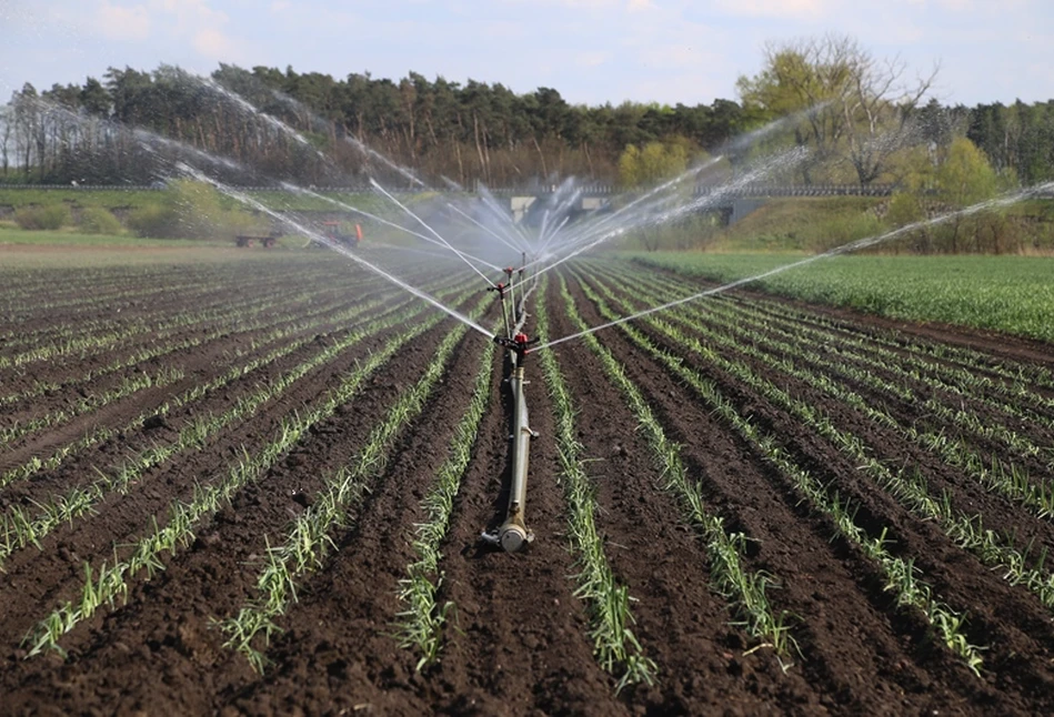 Pomoc dla rolników. Będą ułatwienia w walce z ASF, suszą i powodziami