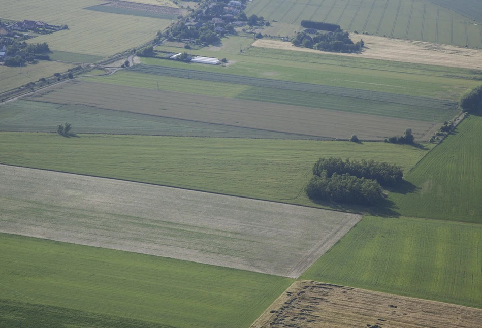 Ile zarobił KOWR w 2020 roku? Średnie ceny sprzedaży gruntów, wpływy z tytułu dzierżawy