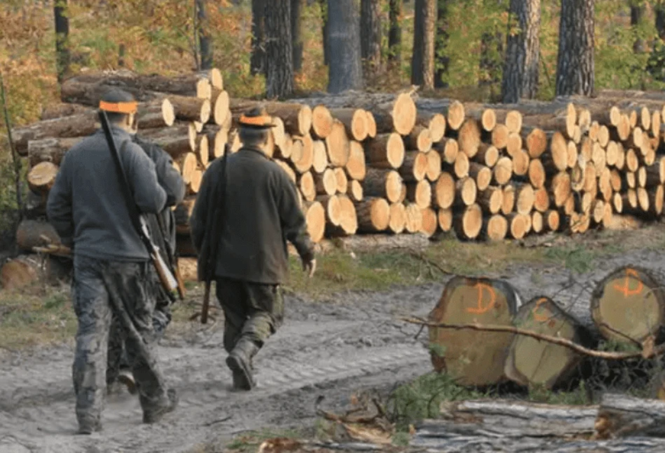 Rząd rozwiąże koła łowieckie, które nie zrealizują zadań