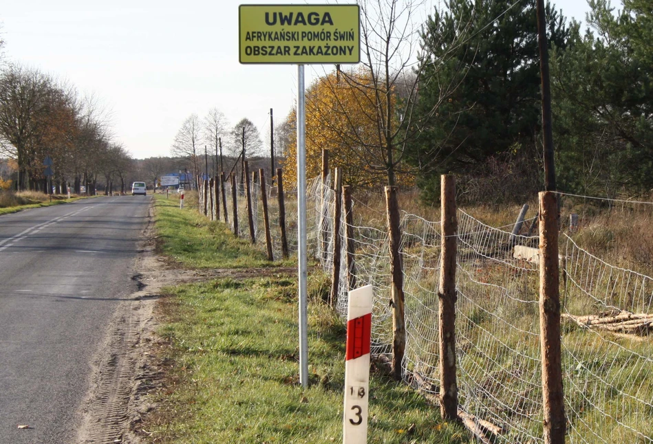 Jakie obszary objęto ochroną w ramach stref ASF?