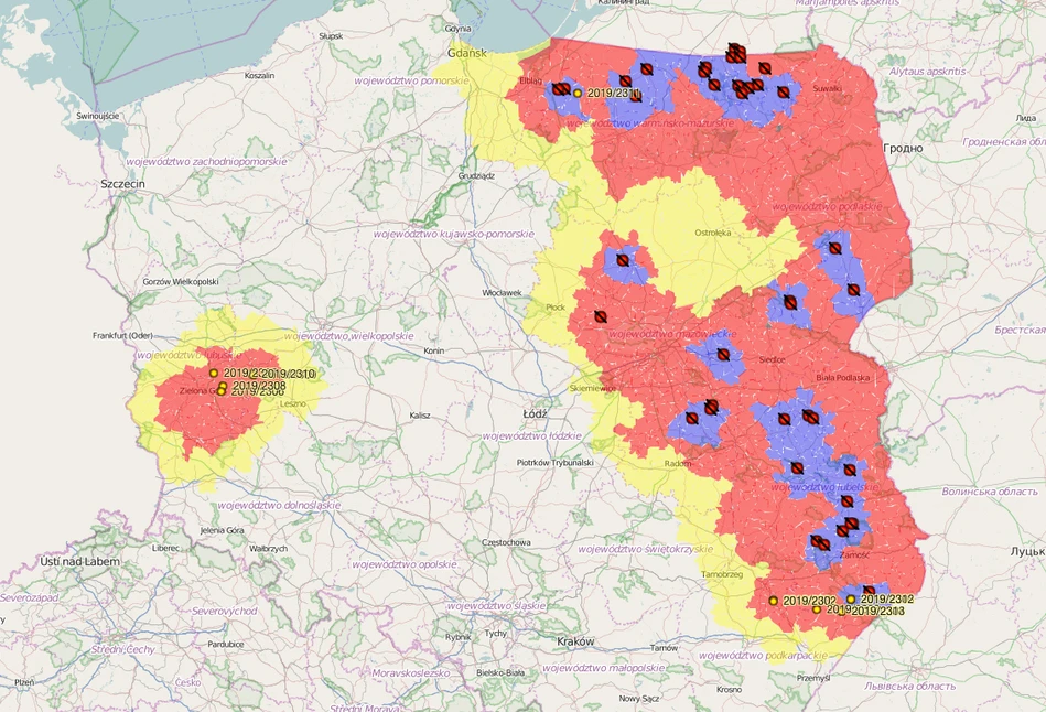 ASF: Czerwone strefy w Wielkopolsce