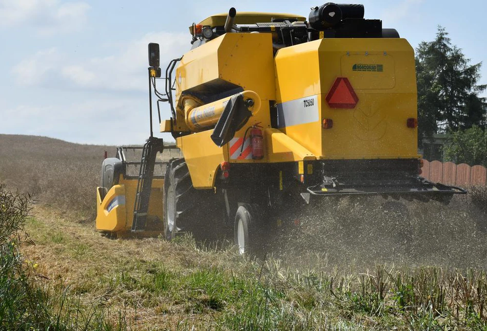 Rzepak na Matif w górę, ale w skupach ceny rzepaku lecą w dół