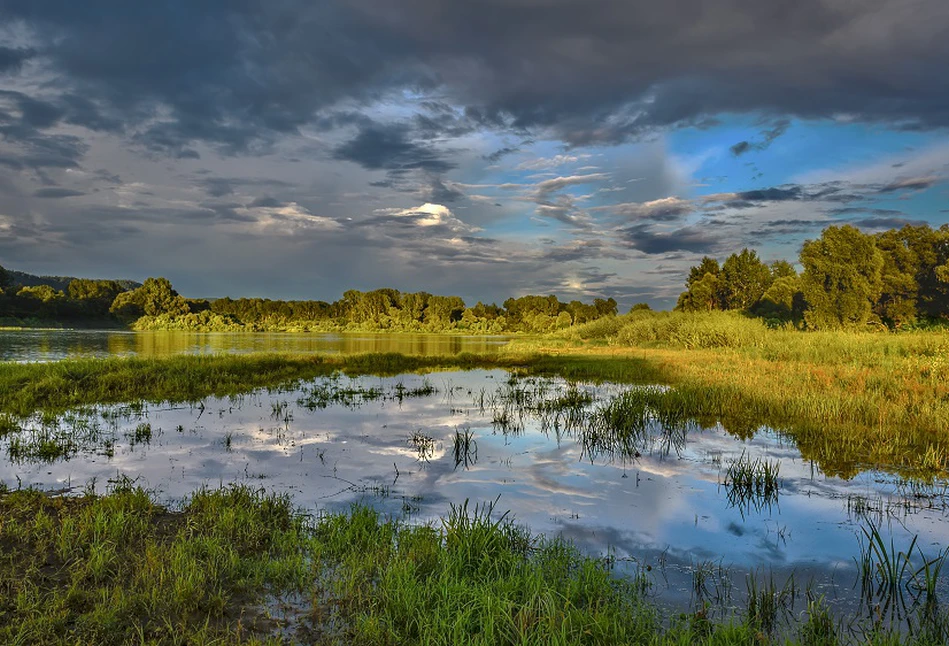 Zalewanie zasuszonych torfowisk. 400 ha ziemi, znajdzie się pod wodą?