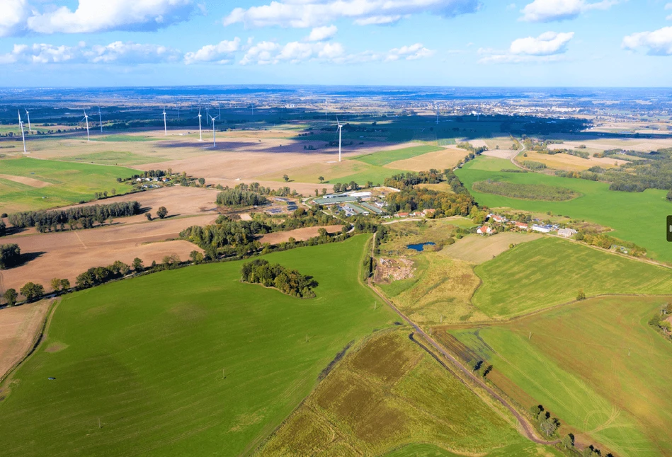 Duże gospodarstwo mleczne na Warmii i Mazurach czeka na nowego właściciela. Ile kosztuje?